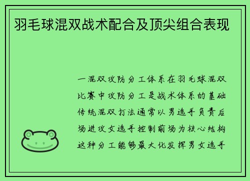 羽毛球混双战术配合及顶尖组合表现